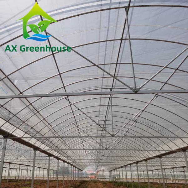 Quality Strawberries Plastic Film Greenhouse for sale