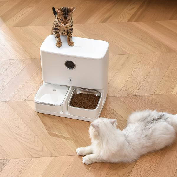 Quality 240V Automatic Food Dispenser With App Control Dog Cat Feeder for sale