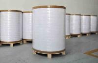 China Coated Duplex board Art Board Sheets Reels Woodfree Offset Paper manufacturer Suppler factory