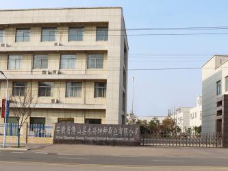 China Factory - Anhui Qianshan Yongxing Special Brush Co., Ltd