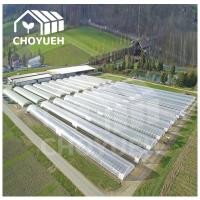 Quality Tunnel Greenhouse for sale