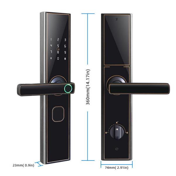 Quality Keyless Digital Smart Door Locks Keypad Biometric Fingerprint for sale