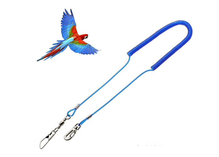 China Retractable Steel Reinforced Parrot Safe Rope , Safty Bungee Lanyard Strech 3 Meters factory