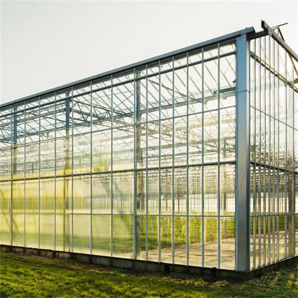 Quality Customizable High Durability Multispan Greenhouse Rain Resistant for sale