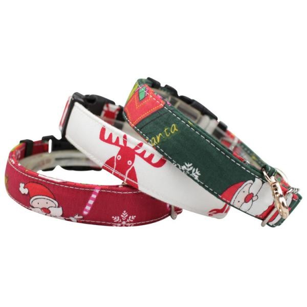 Quality Eco - Friendly Dog Collars And Leashes / Personalized Dog Collars 170 Kg Endurance for sale