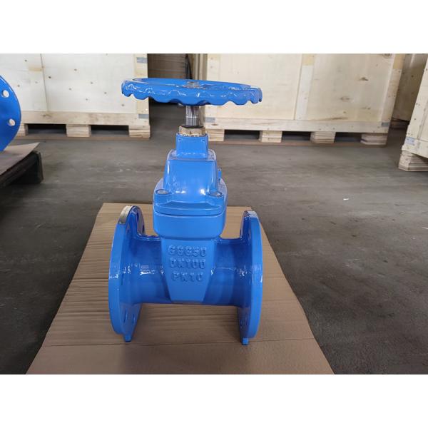 Quality OEM BS5163 Gate Valve Cast Iron Valves DN50-DN600 for sale