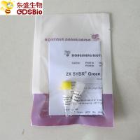 Quality SYBR Green Real Time PCR Mix High ROX+ P2091b/P2092b for sale