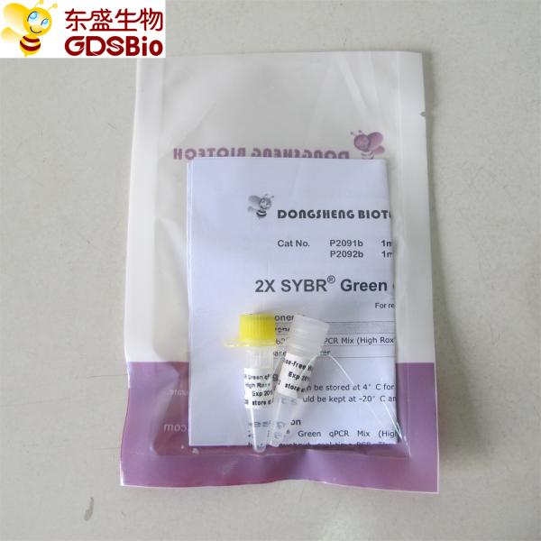 Quality SYBR Green Real Time PCR Mix High ROX+ P2091b/P2092b for sale