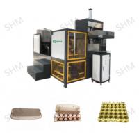 China Automatic Egg Crate Making Machine Customized Egg Carton Manufacturing Process factory