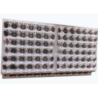China Machine Thermoforming Mould Design Egg Tray Mold Making Blister Packaging factory