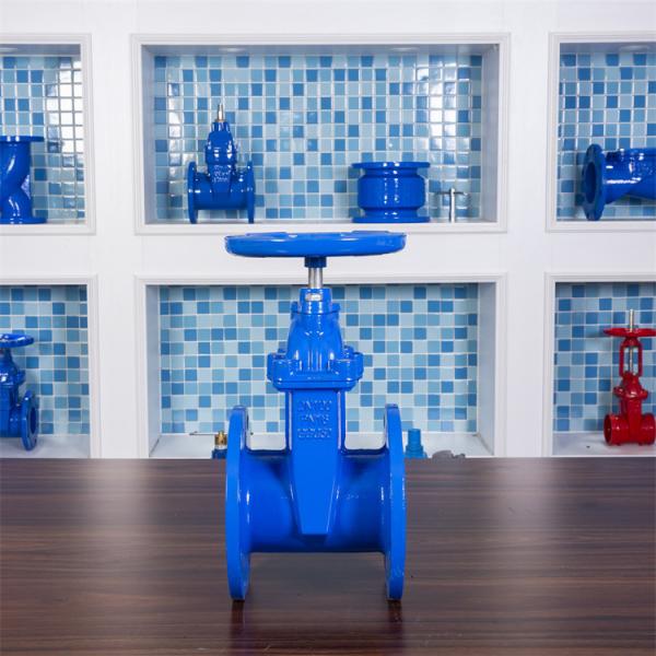 Quality Copper Nut Resilient Seat Gate Valve GGG40 Pn16 Double Flanged Gate Valve for sale