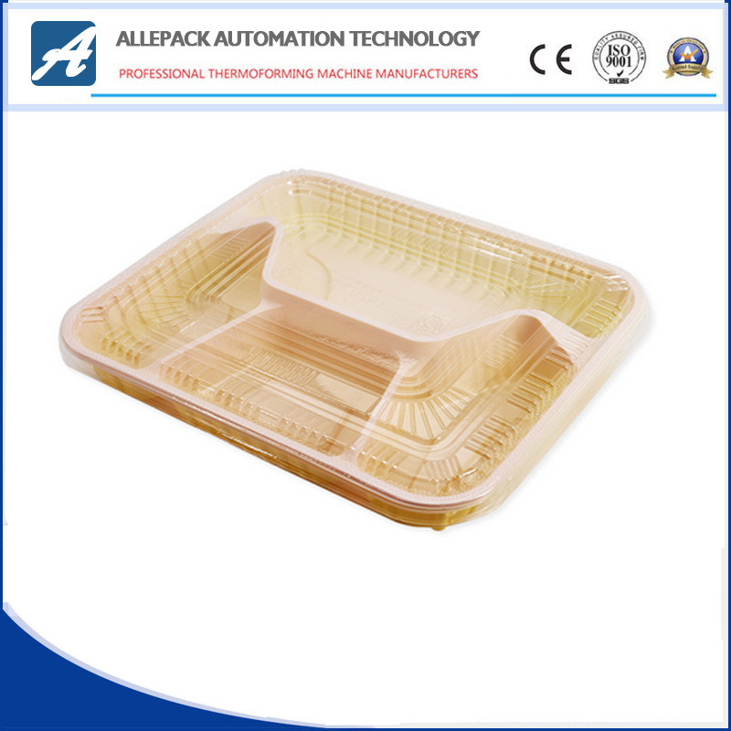 china XG-P Disposable Plastic Containers / Plastic Takeaway Food Container OEM Available