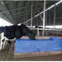 Quality Blue LLDPE Thermo Water Trough 115L 30Gal 225cm Length for sale