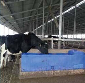 Quality Blue LLDPE Thermo Water Trough 115L 30Gal 225cm Length for sale
