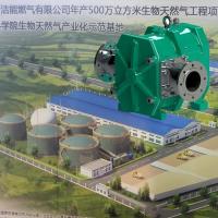 China 4 Bar Digester Feed Biogas Pump FKM Rubber Multipurpose Stable factory