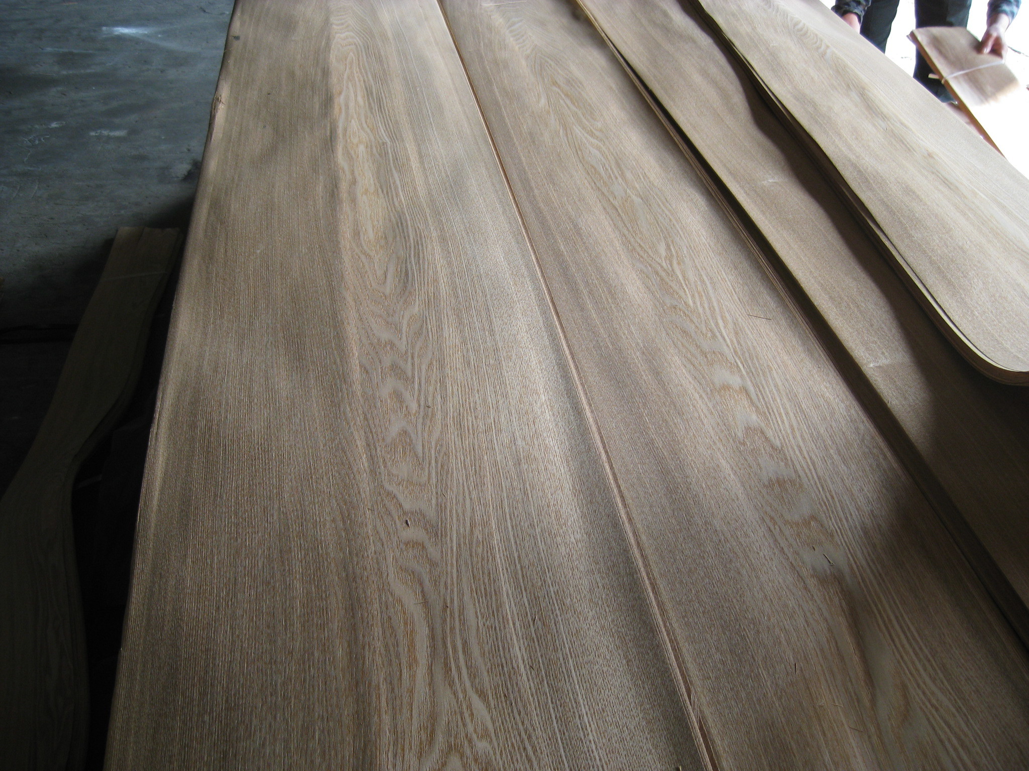 China Sliced Natural Russian Ash Wood Veneer Sheet crown cut for sale