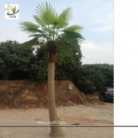 China UVG PTR038 eco friendly decorative outdoor fake palm trees for sale factory