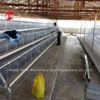 Quality Chicken A And H Automatic Battery Cage System For Poultry Farming Breeding Sandy for sale