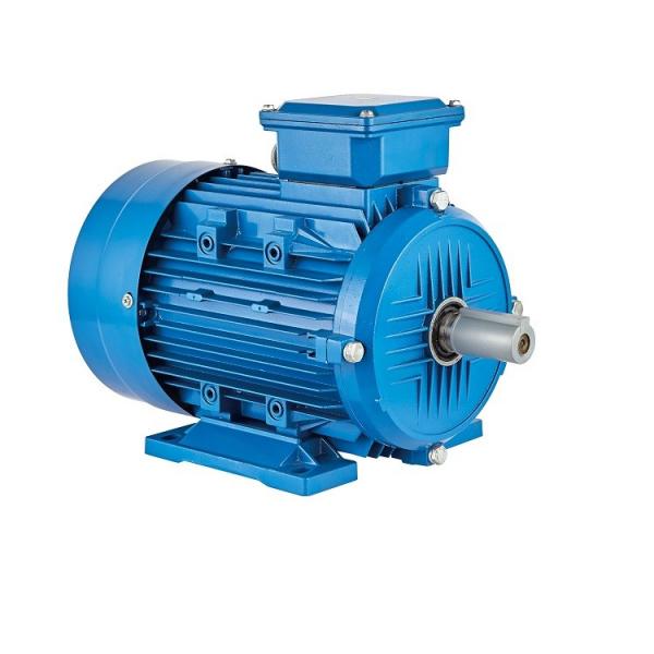 Quality Low Speed 3 Phase PMSM Motor Without Gearbox OEM ODM Service for sale