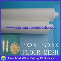 China Flour Strainer Mesh factory