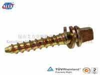 China Customized Timber Screw, Drive Screw, Coach Screw Manufacturers for Steel Rail Fastening factory