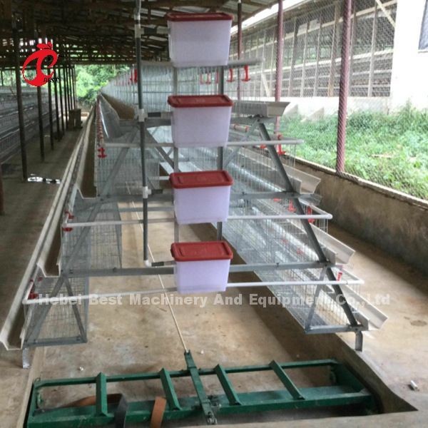 Quality Automatic Layer Battery Cage System Commercial Layer Chicken Cage 3 Tiers Hot Sale Rose for sale