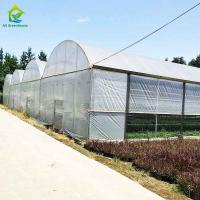 Quality Agricultural Commercial Industrial Plastic Film Greenhouse With Complete Systems for sale