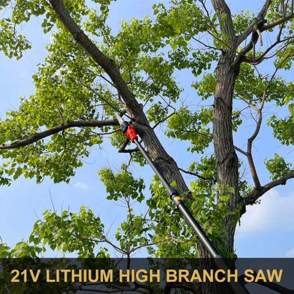 Quality 8 Inch Long Pole Chainsaw High Reach Cordless Battery Pruning Saw for sale