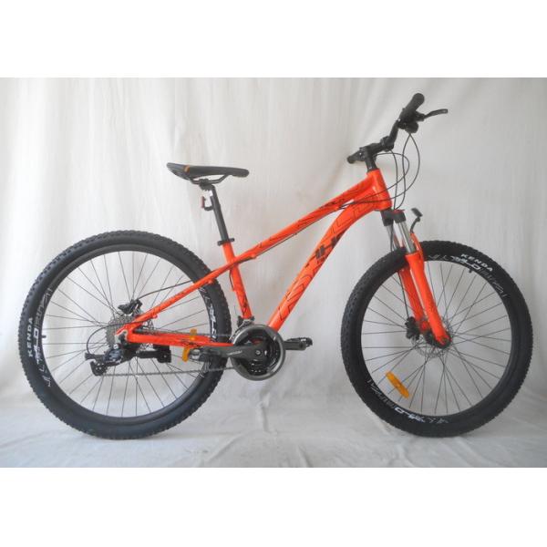 Quality Lightest Cross Country Mountain Bike Disc Brake System With Steel Handle Bar for sale