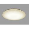 China 2000LM 24W LED Indoor Ceiling Lights Low Electricity Consumption Uniform Luminance factory