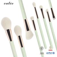 China 8pcs Plastic Handle Travel Makeup Brush Set Synthetic Hair And Aluminium Ferrule With PVC Package Box factory