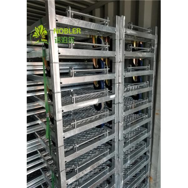Quality Welded Wire Greenhouse Carts Flower Trolley Rack Plant Cart Iso9001 Certificatio for sale