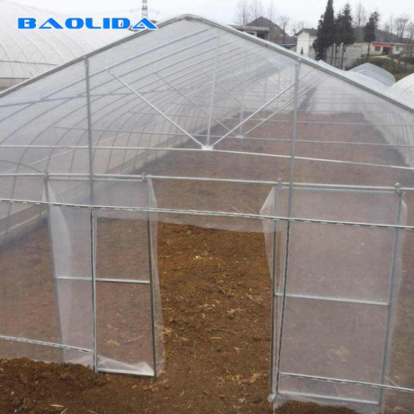 Quality Tunnel Agriculture 8m Greenhouse Plastic Film Polyethylene Film Greenhouse for sale