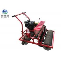 China 8-15 Cm Row Spacing Tomato Planter Machine / Red Tomato Planting Equipment for sale
