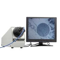 China 20X Fiber Optic Inspection Microscope , Optical Fiber Microscope With Video Display factory