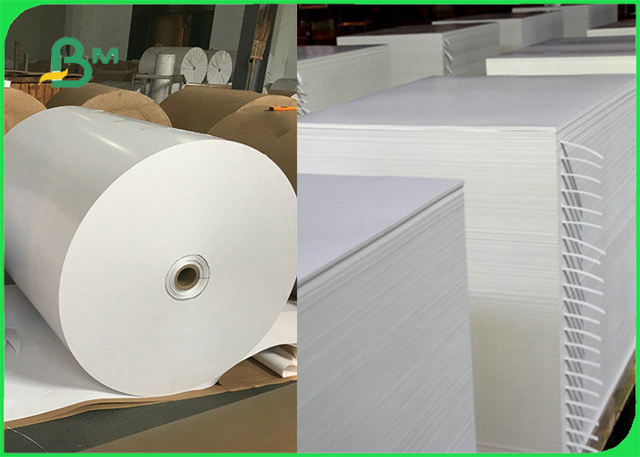 China 300gsm + 15gPE Biodegradable Food Container Cardboard 100% Harmless factory