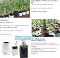 China 15 GALLON Hole Plastic LDPE Grow Bags For Nursery, Black &amp; White PE Grow Bags for Hydroponic and Horticulture use, BAGEA factory