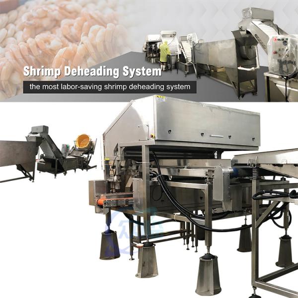 Quality ISO 11.7KW Shrimp Deheading Machine Multipurpose Adjustable Speed for sale