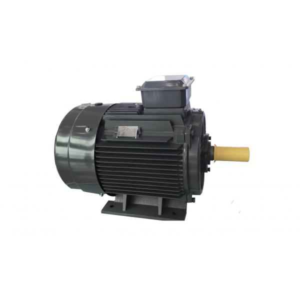 Quality Cast Iron Asynchronous Inverter Motors Three Phase Inverter Duty for sale