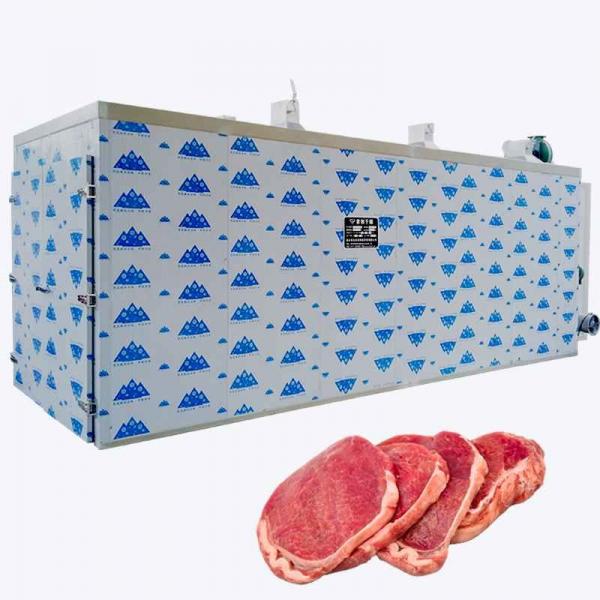Quality Commercial Biltong Chicken Beef Heat Pump Food Dryer 26KW To 57KW for sale