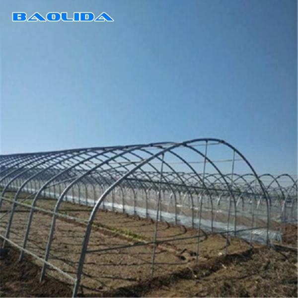Quality Large Mental Material Single Span Tunnel Plastic Greenhouse Uv Resistant Clear Sheeting for sale