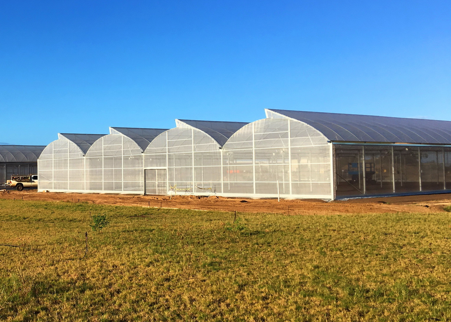 China 20%-90% Shading Rate and Anti-Aging for Plastic Film Greenhouse factory