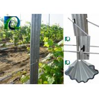 china Recyclable Grape Vine Stakes 1.5MM Thick