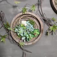 China Artificial Wall Hanging Plants Vertical Greening Creative Decoration Retro Pendant factory