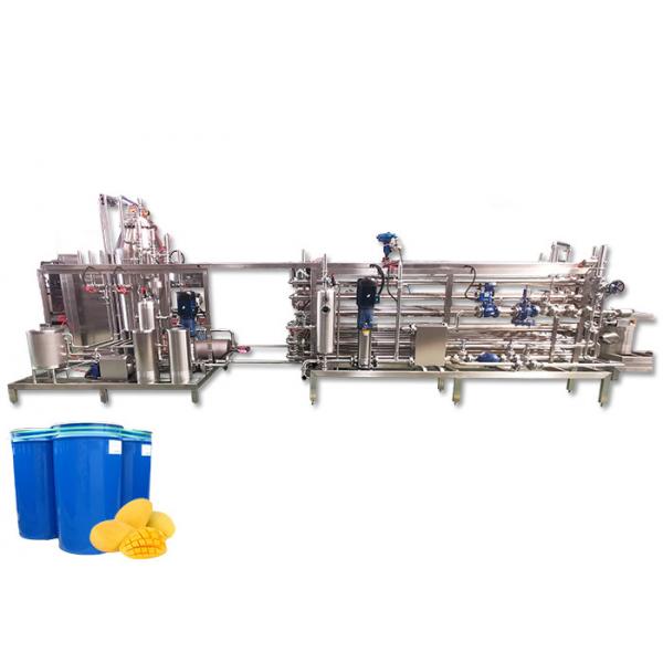 Quality Commercial Mango Processing Line Water Saving Safety Control For Operators for sale