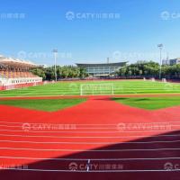 China Wear-Resistant  Yuzz Prefabricated Running Track For School Playground Floor for sale