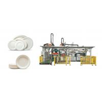 Quality Nature To Nature Pulp Molded Smart Tableware Machine With Double Robot Arms for sale