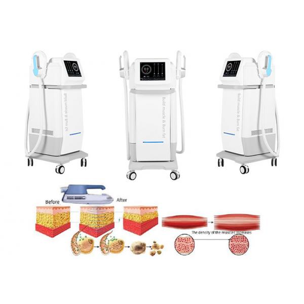Quality Commercial Anti Cellulite Slimming Machine Body Contouring EMS Weight Loss Machine for sale