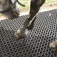 China Connect Multiple Mats To Cover Large Areas Light & Easy To Clean. Excellent Drainage To Horse Washroom factory
