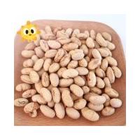 china Natural healthy OEM Roasted Salted Soya Bean Snacks Handpicked Vegan Beans